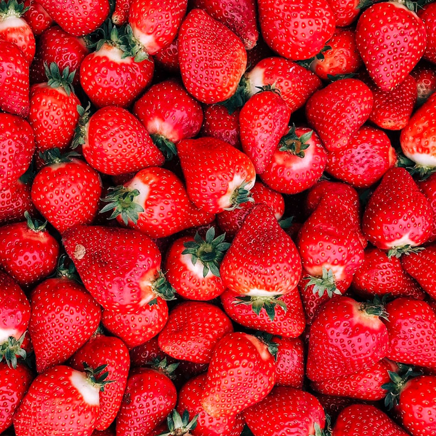 Drinkmich Hafermilchpulver mit Erdbeergeschmack Nahaufnahme von frischen knallroten erdbeeren